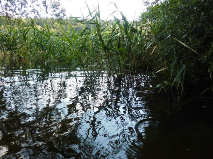 natureinsalemgermany