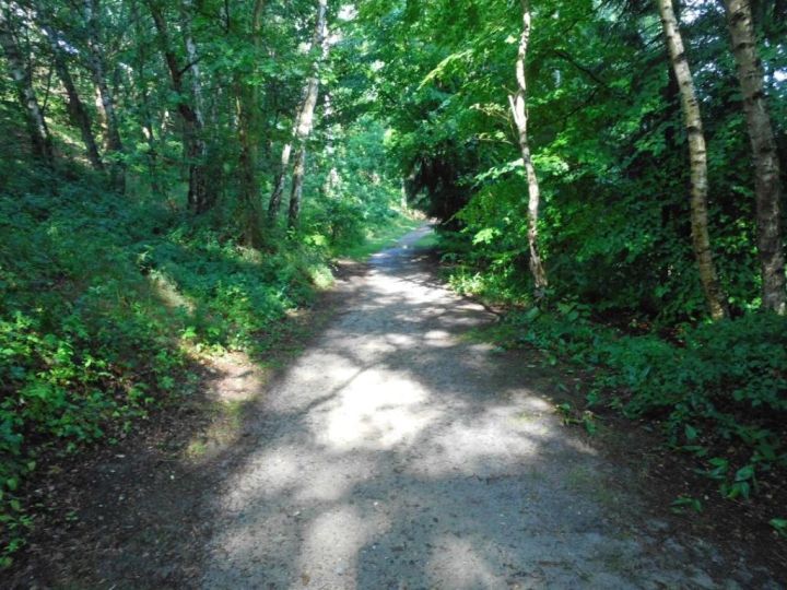 woodsandwaynearsalem