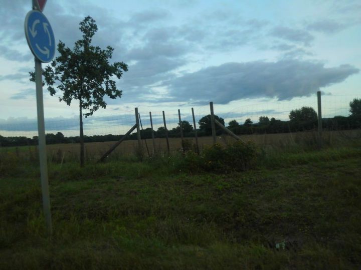 youcandrivearoundhere