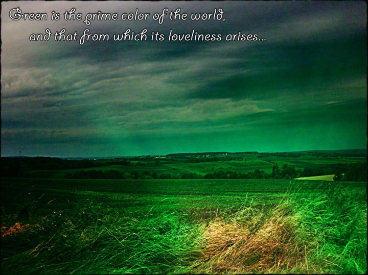 Greenistheprimecoloroftheworldandthatfromwhichitslovelinessarisesthuringiagermannaturephoto
