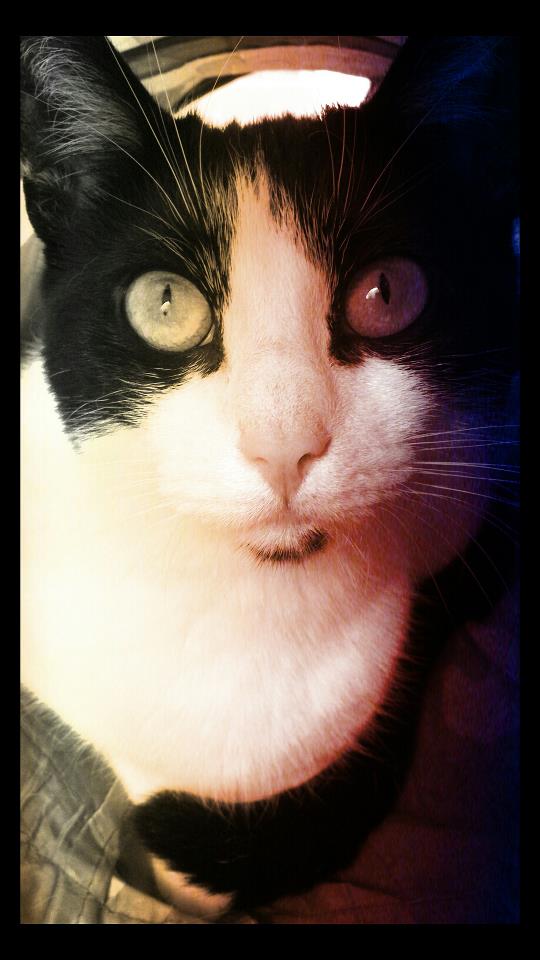 mycatchinashynaeditedwithpirlomaticandroidapp