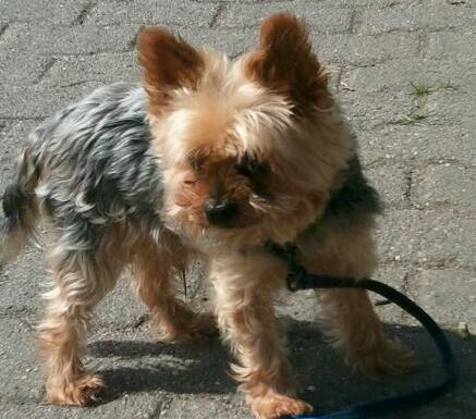 17620_429216203820037_1954833435_n_zps79f62242