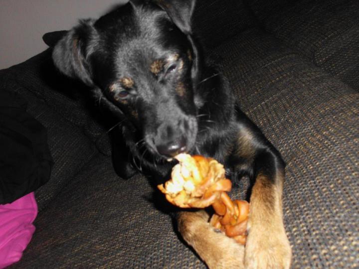 75593_429215490486775_1835439327_n_zpsfea37a06