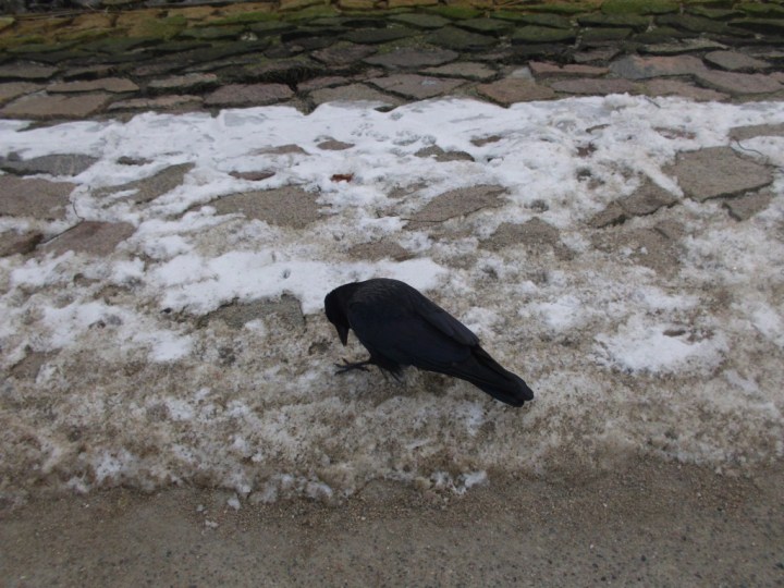 DSCI5895_zps773f0c1a