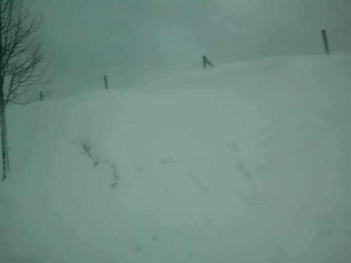 429704_435019566573034_809431508_n_zpsf98ca411