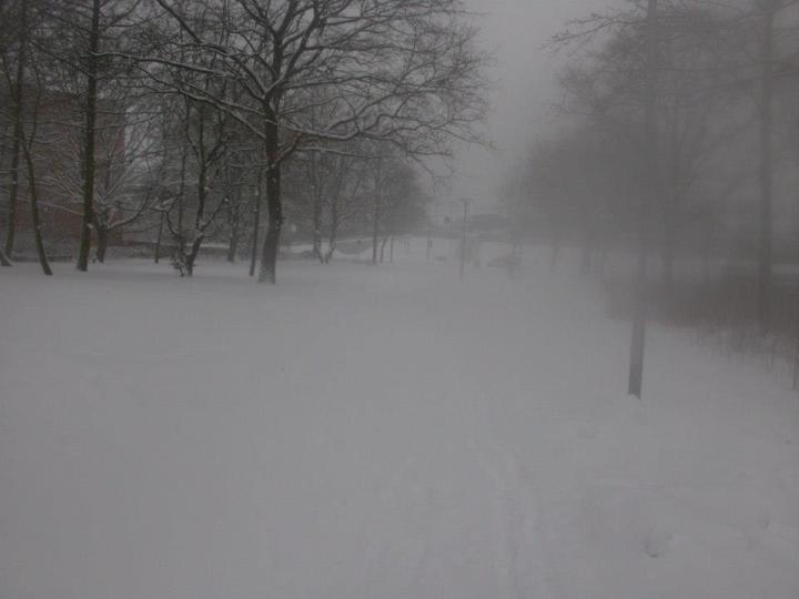 482344_435302969878027_822210228_n_zps204acb91