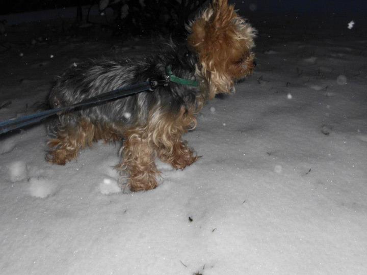 484275_435020463239611_1683858126_n_zps52c19ba5