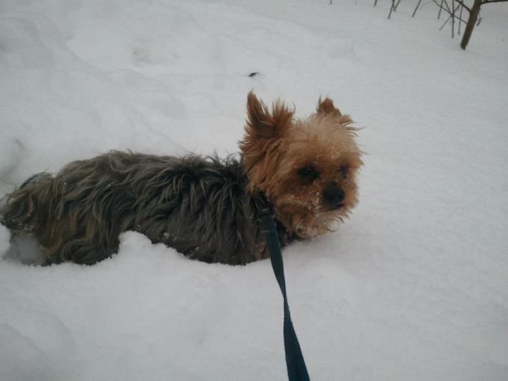 578006_435374046537586_253240405_n_zps684bb78d