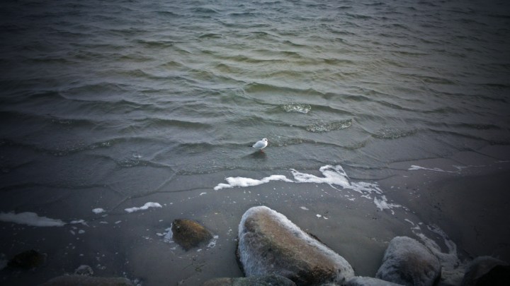 DSC_0030_zps93cc0ce0