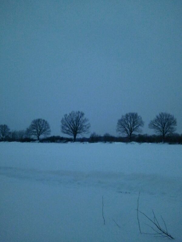 IMG-20130311-WA0002_zpsa3b25acb