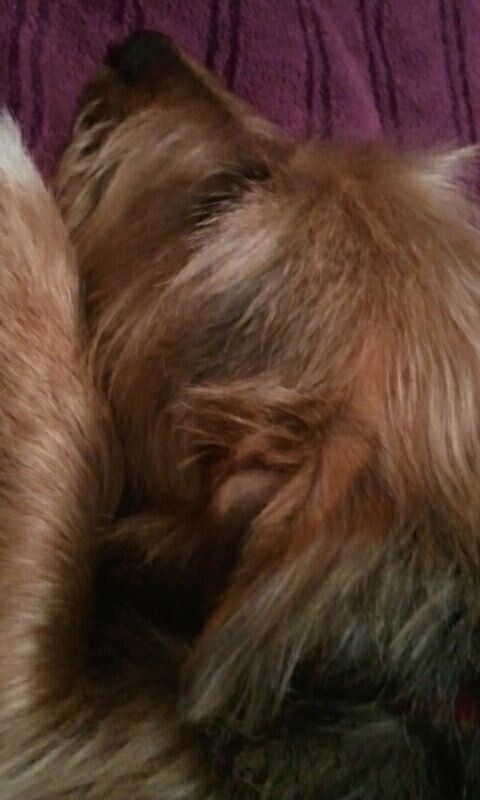 IMG-20130322-WA0001_zps889f0f26