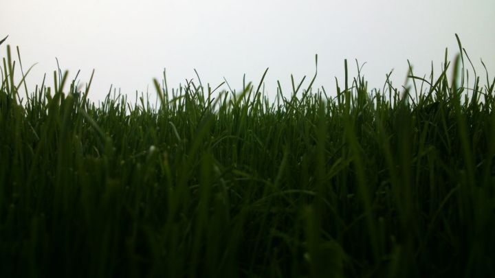 Unusual Point of View