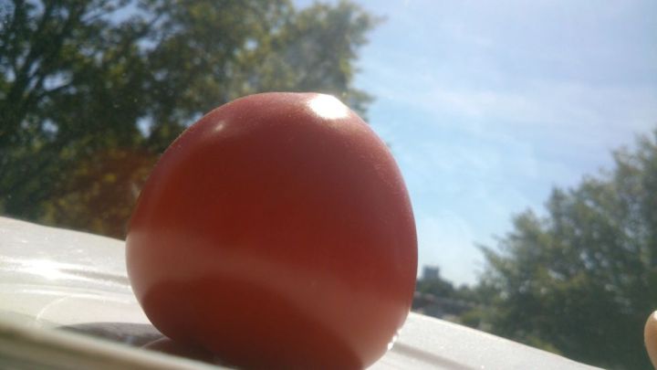 Tomato original image