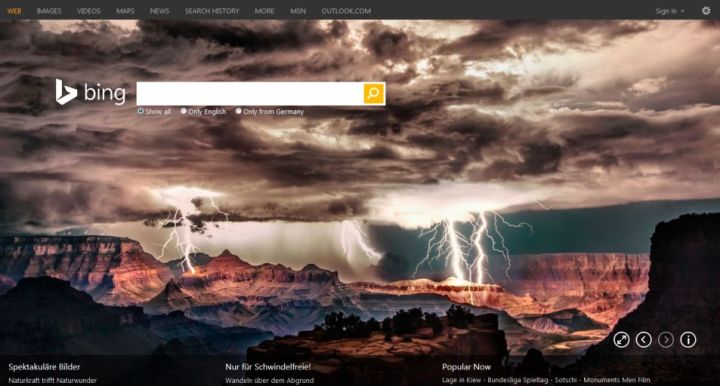 Bing Search Screenshot