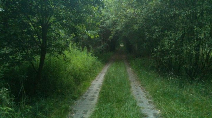 Former Borderline East Germany... Kolonnenweg (Plattenweg)