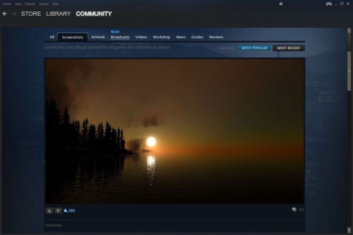 Steam screenshot