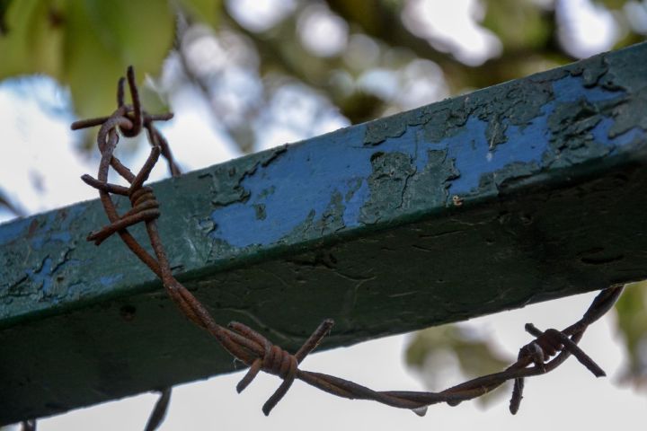 Barbed Wire And Metal