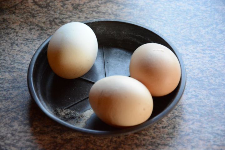 Our chicken eggs