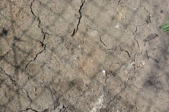 Dry Ground Texture
