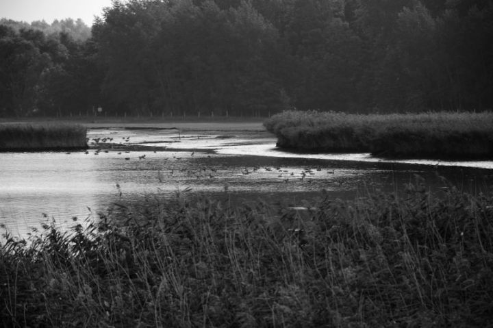 Schellbruch in greyscale