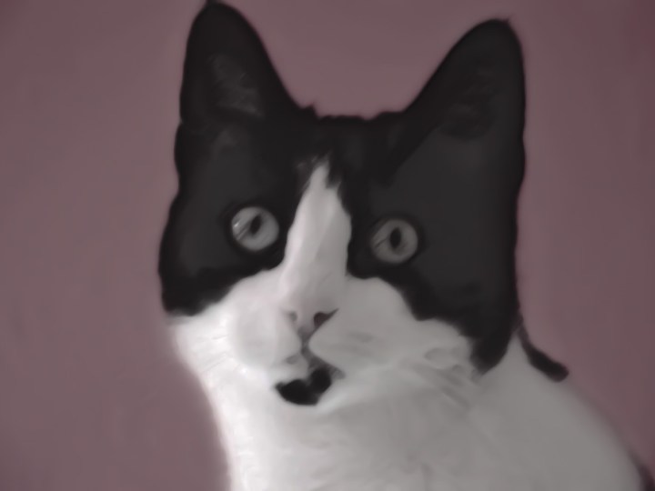 Photoshop Kitty Painting