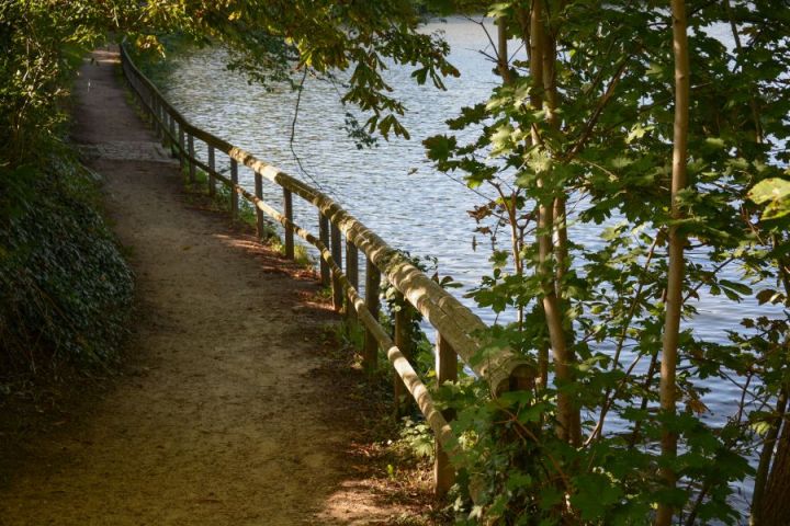 Riverside Path