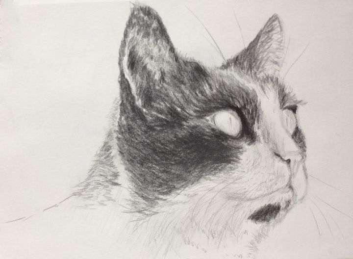 Preliminary sketch of Shyna, drawn with graphite