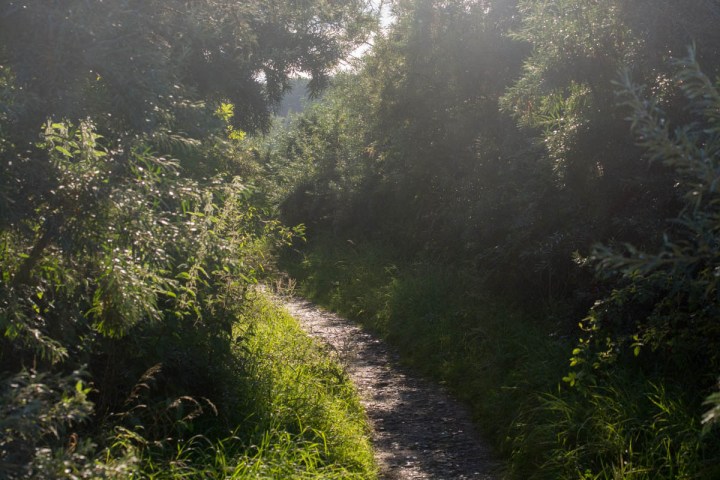 A Hiking Trail - Schellbruch in Lübeck Schellbruch - Lübeck