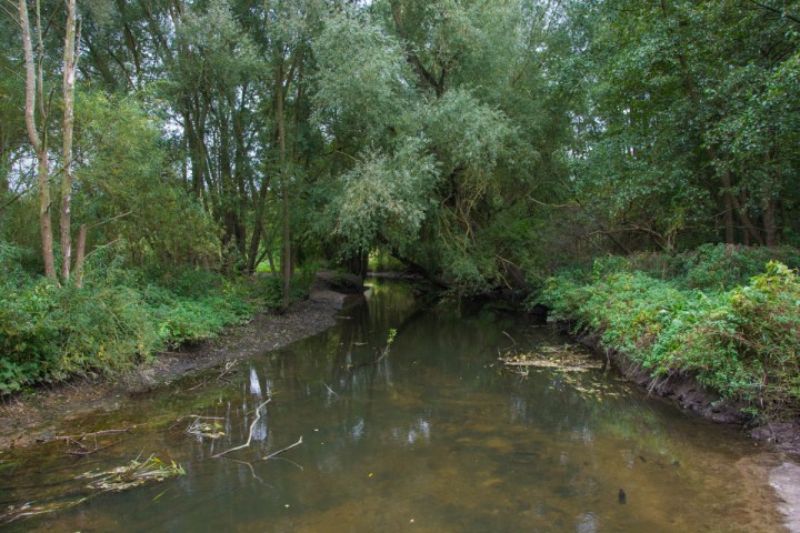 bad-schwartau-riesebusch