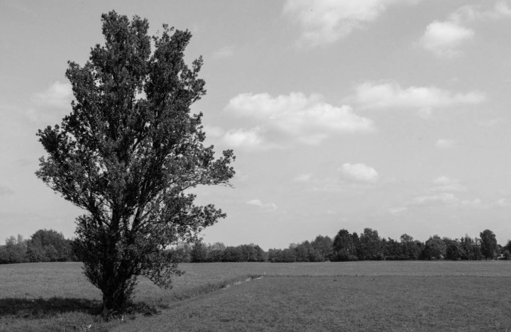 black-and-white-landscape-photo