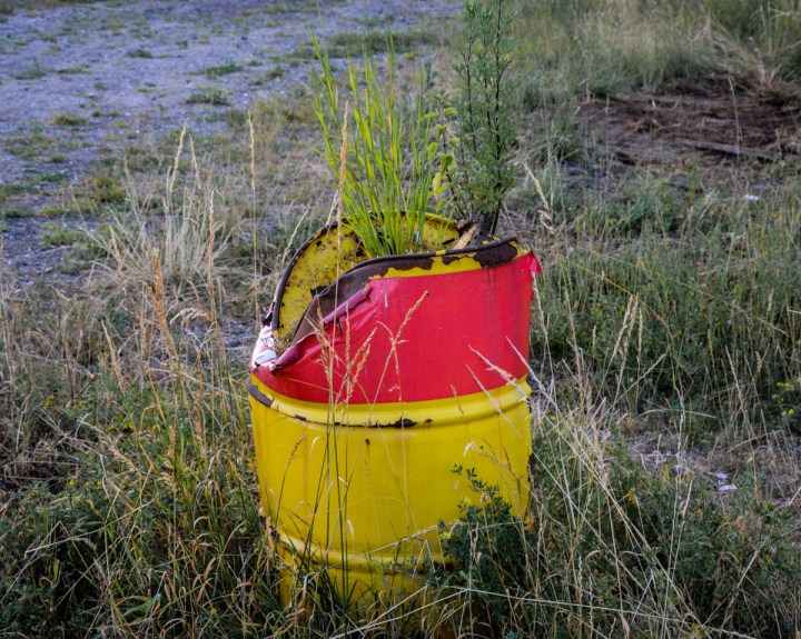 nature-takes-it-back