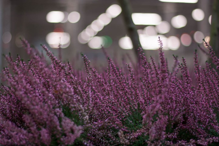 parking-structure-flower-pot