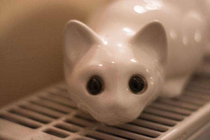 Beautiful Porcelain Cat Beautiful Porcelain Cat