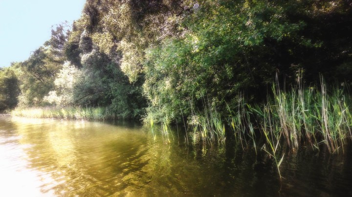 River Picture Edited