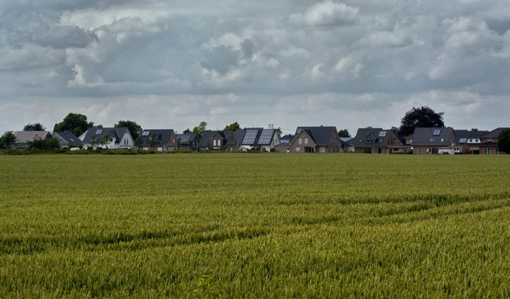 Field and Houses