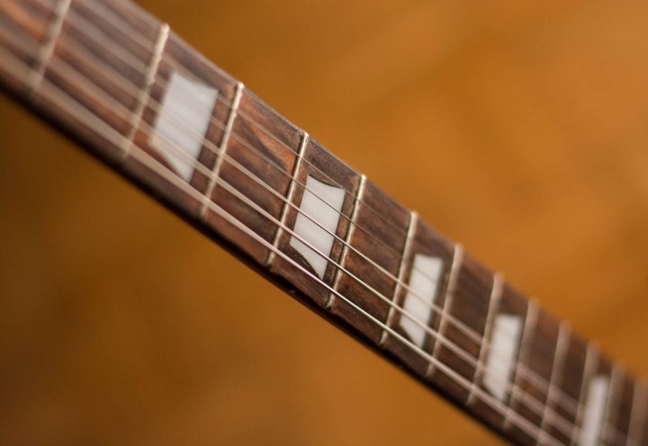 Old Coxx SD Standard Fretboard