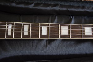 Guild Bluesbird Newark St. Collection Neck