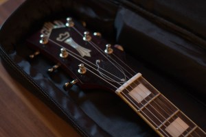 Guild Bluesbird Newark St. Collection Headstock