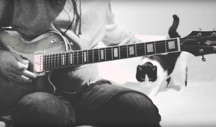 Guitar player and his cat