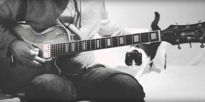 Guitar player and his cat