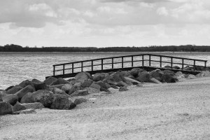 Baltic Sea Coast in Black and White
