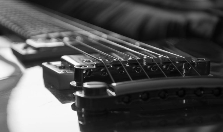 Guild Bluesbird Black And White Photo