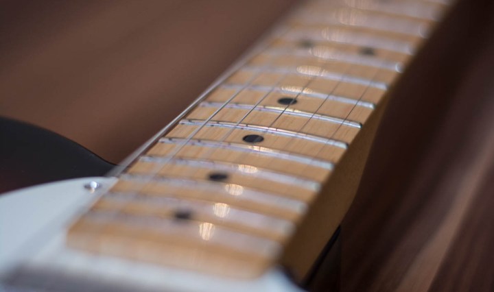 Fender Standard Telecaster Neck