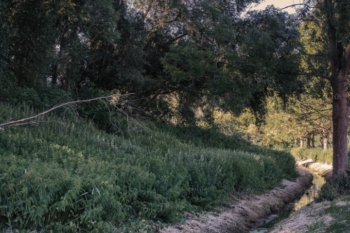 Landscape outside of Lübeck