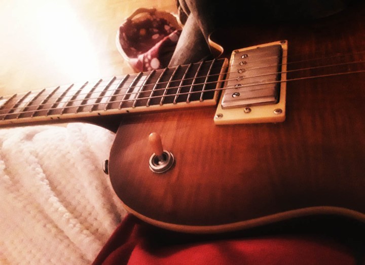 Guild Bluesbird Photo