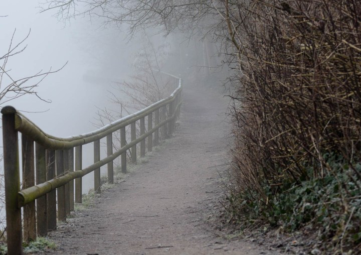 Misty Path