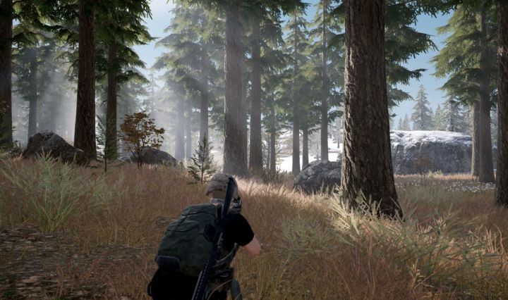 PUBG Forest Screenshot