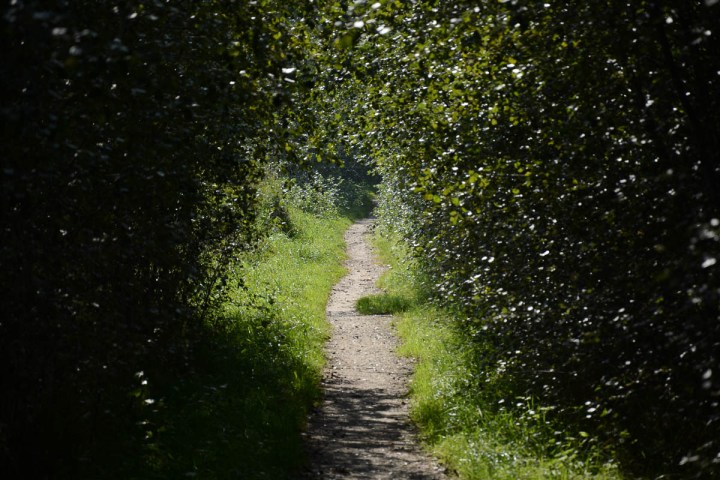 hiking trail