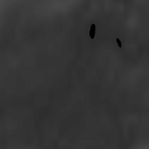 Heightmap (SRTM30 Plus)