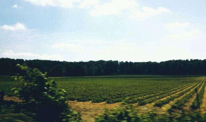 northern german scenery thumbnail